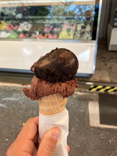 Comentarii opinii despre MIMOZA