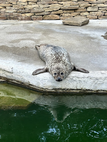 Doraz Cafe - ZOO Košice - Kavečany