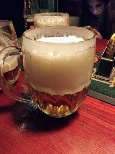 Comentarii opinii despre Bizón Urquell Pub