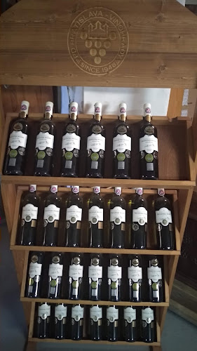 Comentarii opinii despre PD Bratislava - Vinohrady