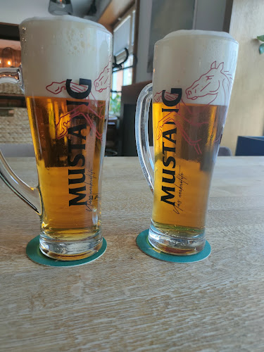 LOKAL VERMEX Beer Restaurant & Pizza - Gastronómia a pohostinstvo