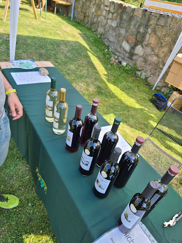 Comentarii opinii despre areál THEBENER - Devínsky ríbezlák