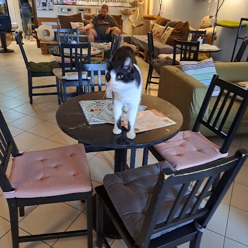 Mačkafé klub - Gastronómia a pohostinstvo