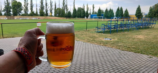 Comentarii opinii despre Stodola