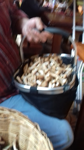 Krčma Lipa - Gastronómia a pohostinstvo