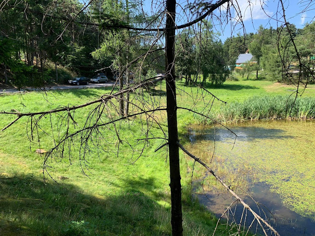 Comentarii opinii despre HÁJOVŇA KTC, sedlo Červená studňa