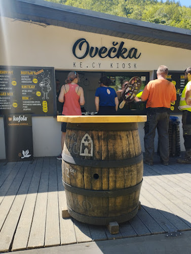 Pod vlekom 1394, 040 01 Sever