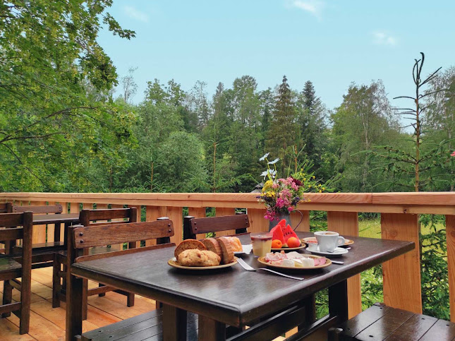 Opinii despre Penzión a koliba Sova în Ždiar - Gastronómia a pohostinstvo