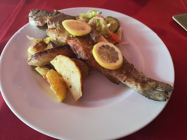 Opinii despre Palmyra Club în Karlova Ves - Gastronómia a pohostinstvo