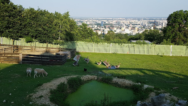 Opinii despre Chata Ahoj în Nové Mesto - Gastronómia a pohostinstvo