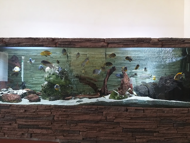 Kadnárova 2516/39, 831 51 Bratislava