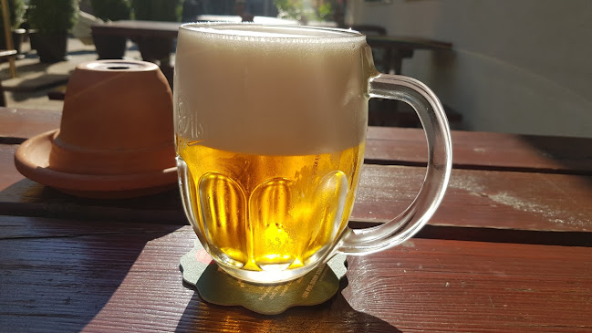 Cesta na Kamzík 39, 831 01 Nové Mesto