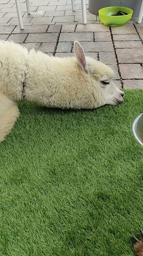 Comentarii opinii despre Bite&Byte