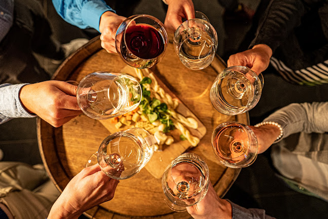 Opinii despre The Slovak National Collection of Wines în Bratislava - Gastronómia a pohostinstvo