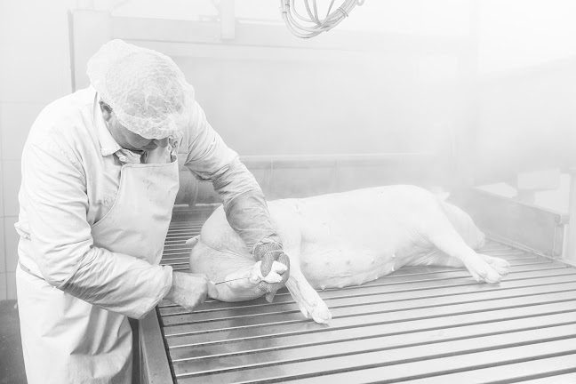 Opinii despre Istermeat, a.s. în Dunajská Streda - Gastronómia a pohostinstvo