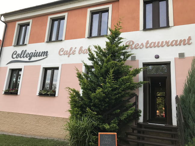Collegium café bar & restaurant