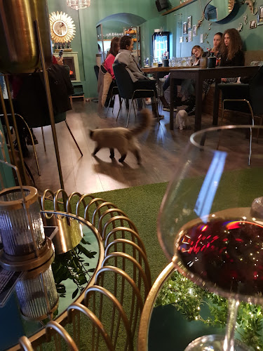 Mačacia Kaviareň Banská Bystrica - Banská Bystrica