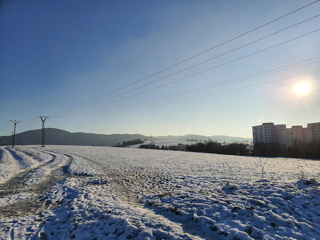 Opinii despre Hostinec Letro în Banská Bystrica - Gastronómia a pohostinstvo