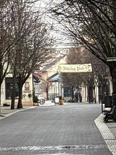 Viking Pub