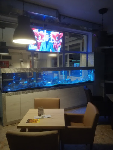 Opinii despre Rio Bar în Veľký Bysterec - Gastronómia a pohostinstvo