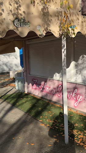 Zmrzlina u Slavky - Nitra