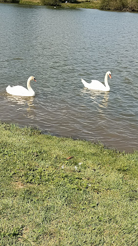 Comentarii opinii despre Bufet na Ostrove