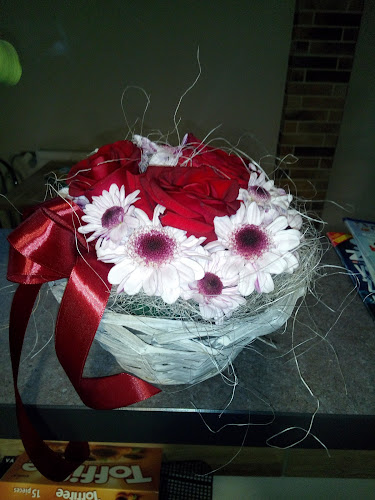 Lena bar - Gastronómia a pohostinstvo