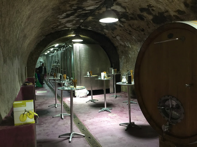 Historické Schoellerove panské pivnice