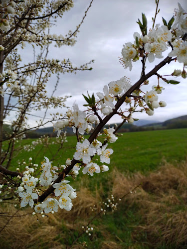Kmeťova, 040 01 Košice, Slovensko