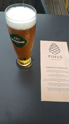 PINUS restaurant - Gastronómia a pohostinstvo