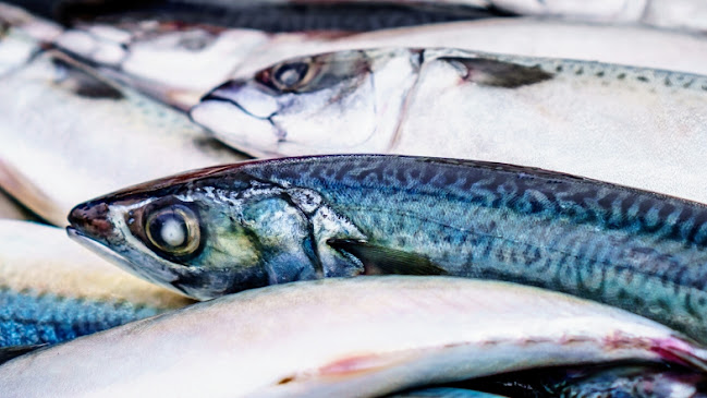 Marták Ryby-Špeciality - Gastronómia a pohostinstvo