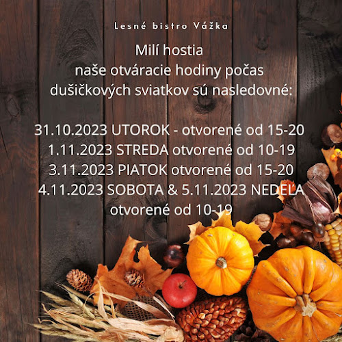 Opinii despre Lesné bistro Vážka în Marianka - Gastronómia a pohostinstvo