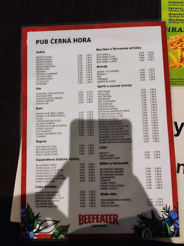 Comentarii opinii despre PUB Černá Hora