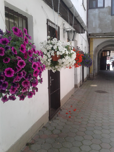 U Zlatého jeleňa - Gastronómia a pohostinstvo