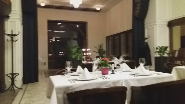 Comentarii opinii despre Slávia