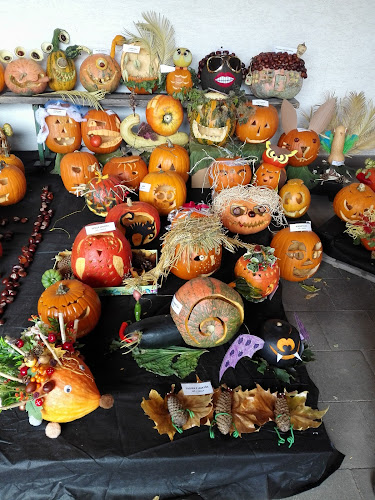 Comentarii opinii despre Stupavský trh