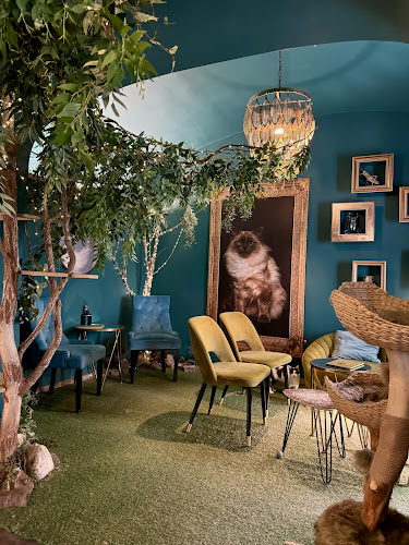 Mačacia Kaviareň Banská Bystrica