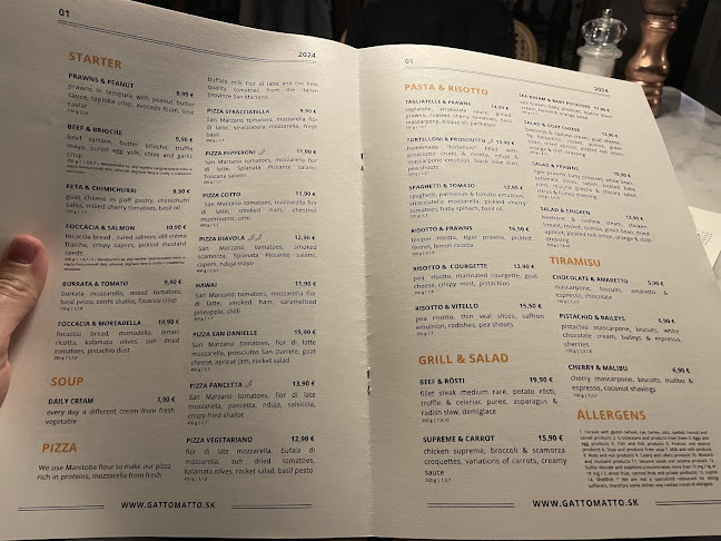 Gatto Matto Ventúrska