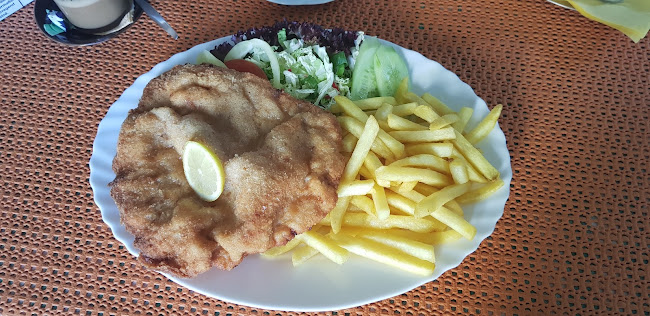 Comentarii opinii despre La Cucaracha