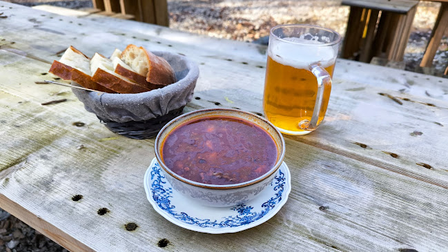 Comentarii opinii despre Lesné bistro Vážka