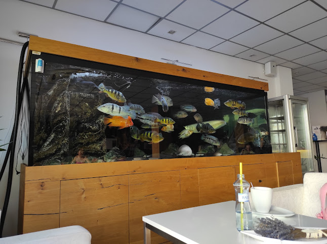 Opinii despre Cukráreň Alžbetka în Nová Baňa - Gastronómia a pohostinstvo