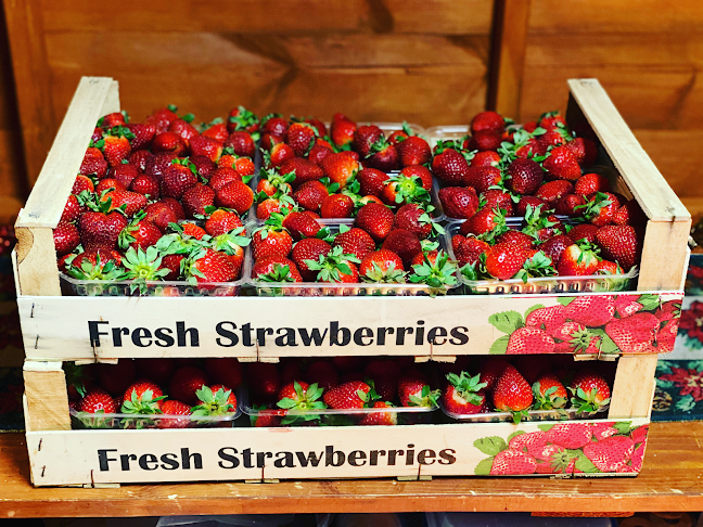 Cafe Trdlo, čerstvé ovocie v čokoláde - Žilina