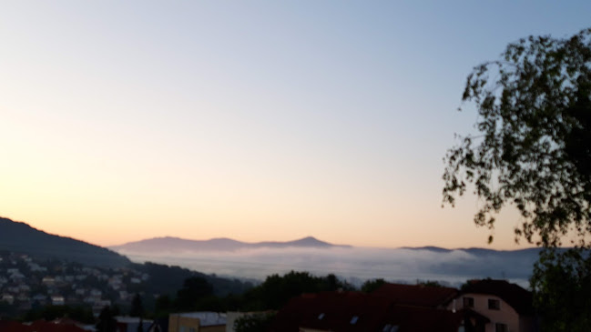 Opinii despre U Poľovníka în Humenné - Gastronómia a pohostinstvo