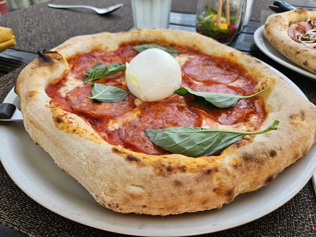 Bellissimo - Chrenová