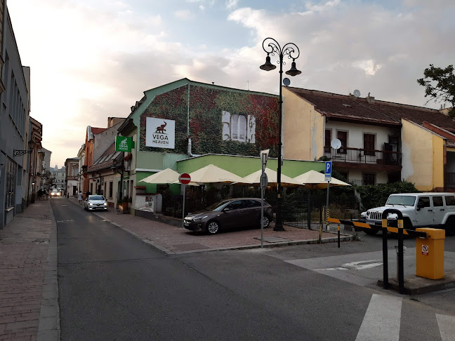 VEGA Heaven - Gastronómia a pohostinstvo