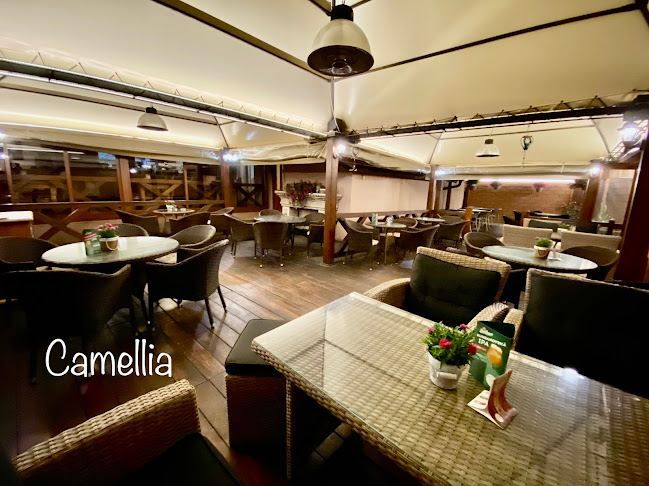 Comentarii opinii despre Camellia restaurant