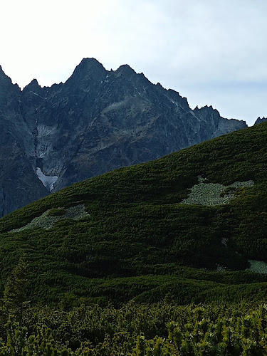 Comentarii opinii despre Tatranská reštaurácia