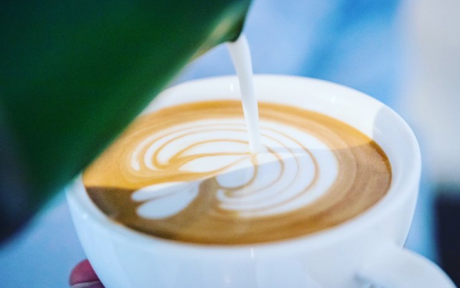 BOTTOVA • Coffee • Brunch • Gineria