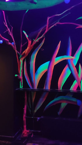 Hurbanovo námestie 1, 811 06 Bratislava