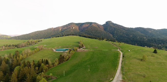 Salaš - koliba Syrex - Gastronómia a pohostinstvo